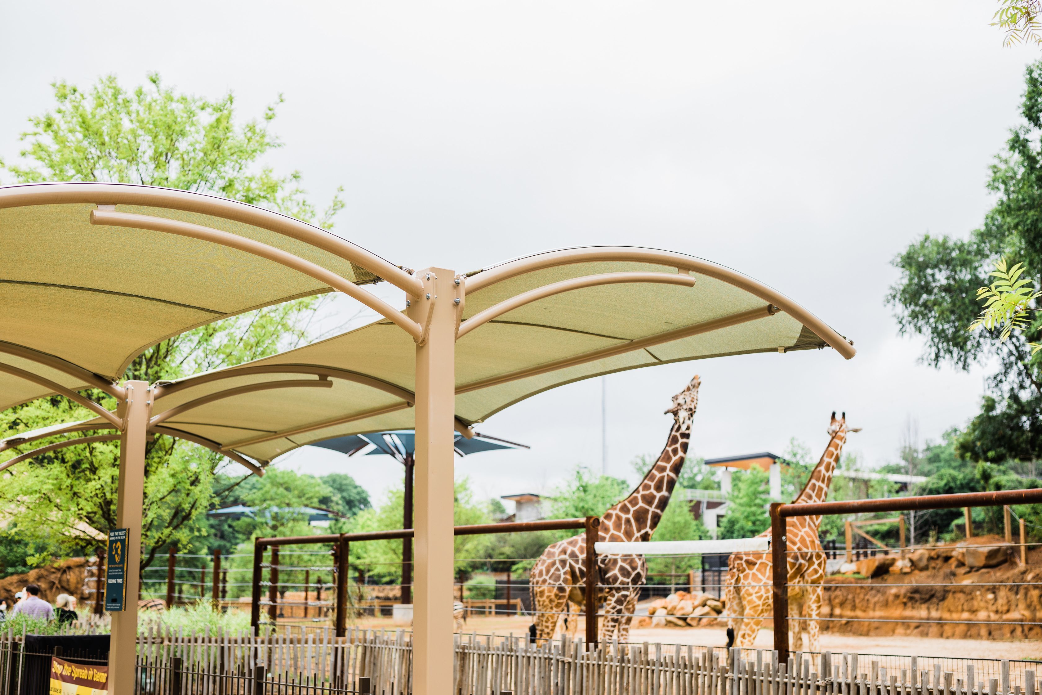 Zoo Atlanta-GA-Shade-Arched Cantilever-View 34